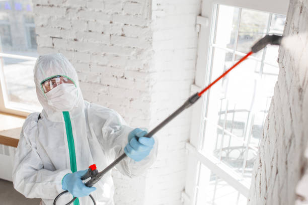 Best Real Estate Mold Inspection  in Union Springs, AL