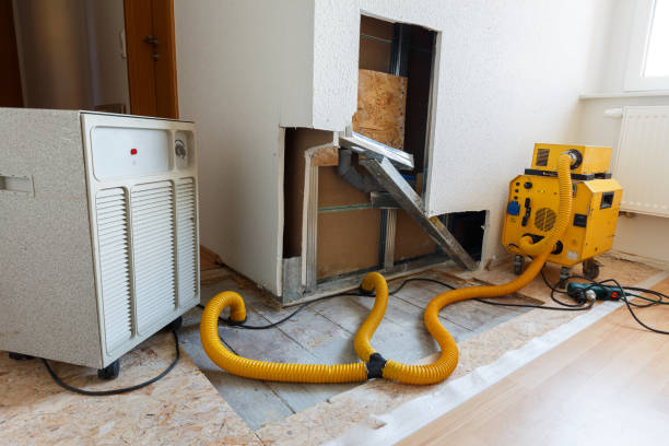 Best Comprehensive Air Testing for Mold Contaminants  in Union Springs, AL