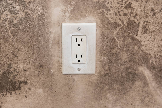 Best Industrial Mold Remediation  in Union Springs, AL